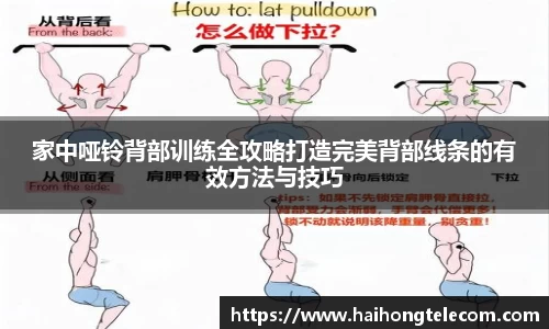 家中哑铃背部训练全攻略打造完美背部线条的有效方法与技巧